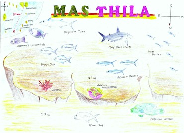Mas Thila